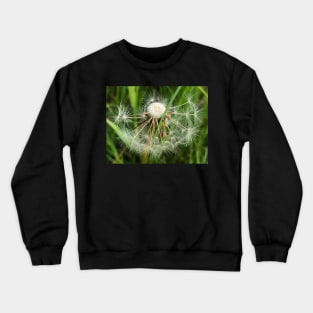 Dandelion Poof: Make-a-Wish for All Eternity Crewneck Sweatshirt